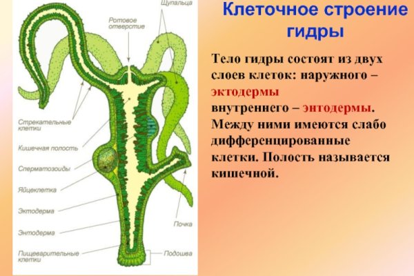 Ссылка на сайт гидра в тор браузере