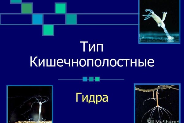 Kraken зеркала kr2web in